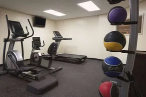 Wingate by Wyndham Chicago Schaumburg - Sala de fitness