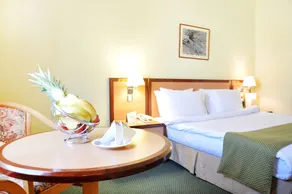 Best Western Sur - Room