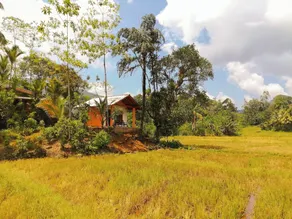 Forest & Fields Sinharaja - Room
