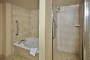 Holiday Inn Hotel & Suites Ann Arbor University of Michigan Area by IHG - Badezimmer