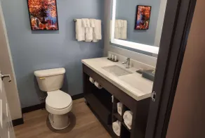 La Quinta by Wyndham Warner Robins - Robins AFB - Salle de bain