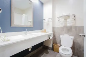 Palace Inn TX-249 - Bathroom