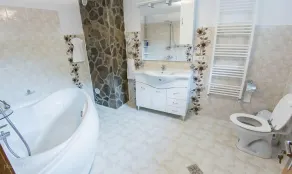 Vila Flora Viseu de Jos - Bad