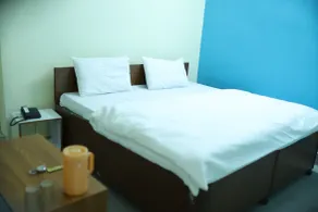 Green Valley Hotel - Srinagar - Habitación