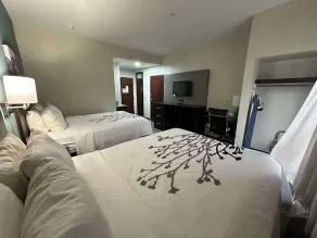 Sleep Inn & Suites Pineville - Alexandria - Chambre