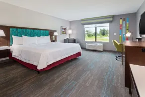 Hampton Inn & Suites Alachua I-75 - Chambre