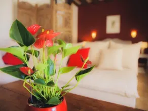 Le Petit Nançay - Chambre
