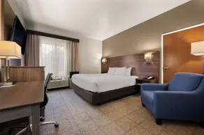 Comfort Inn & Suites Fenton - Chambre