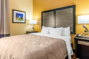 Quality Inn & Suites Montgomery East Carmichael Rd - Chambre