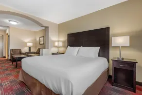 Best Western Plus Red Deer Inn & Suite - Chambre