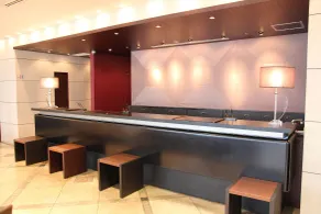 Okayama Koraku Hotel - Réception