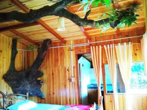 Silent Valley- Alchauna along river Kalsa - Room