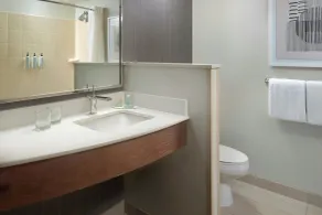 Courtyard by Marriott Birmingham Downtown at UAB - Chambre
