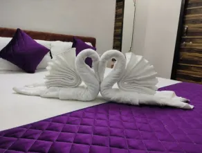 Hinglaj Palace Hotel Jawai - Rom