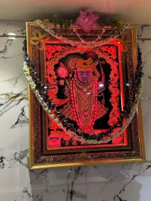 Hotel Vinayak - Reception