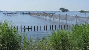 De Mariahoeve - Pool