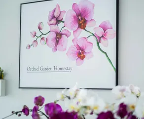 Can Tho Orchid Garden Homestay - Reception
