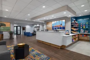 Hampton Inn Washington-Dulles Int'l Airport South - Reception