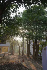 The Jungle Woods Resort - Vue de la chambre
