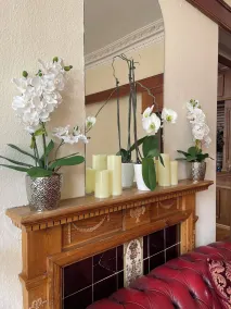 Carlton House Guesthouse - Lobby