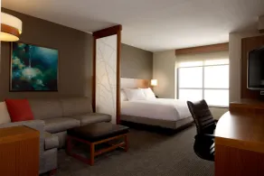 Hyatt Place Tampa/Wesley Chapel - Chambre
