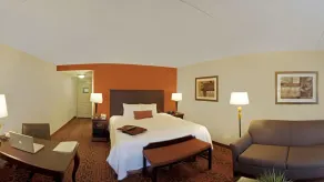 Hampton Inn Rochester Webster - Chambre