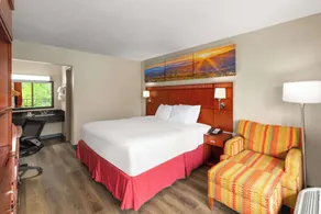 Days Inn by Wyndham Knoxville East - Chambre