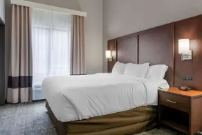 Comfort Suites Paducah Mall Area - Zimmer