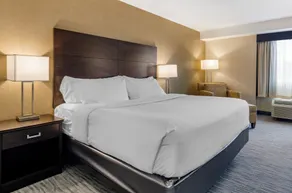 The Capitol Hotel - Room