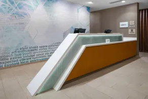 SpringHill Suites Winchester - Réception