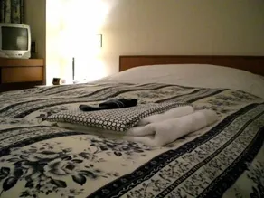 Hotel Togane Hills - Camera