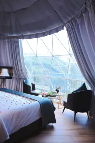 Monticle Glamps - Room