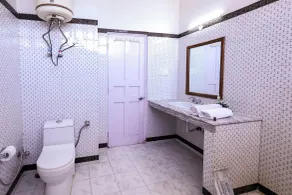 Flamingo Resort, Manali - Camera