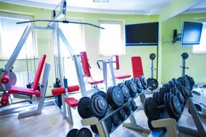 Retro Hotel Villa Ostrava - Salle de remise en forme