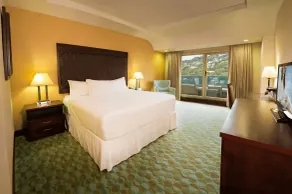 Hotel Plaza Juan Carlos - Room