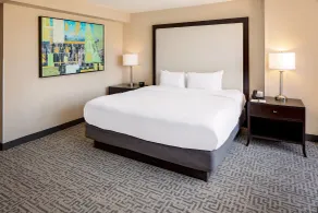DoubleTree by Hilton Chicago - Magnificent Mile - Chambre