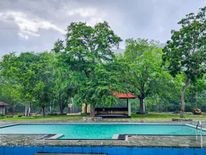 Kawan Forest Villa  - Piscine