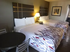 Red Roof Inn Columbia, TN - Chambre