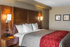 Comfort Inn & Suites Knoxville West - Værelse