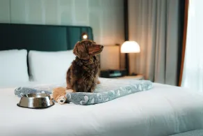 Sofitel Montreal Golden Mile - Chambre