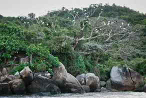 Wayando Beach Eco Lodge - Verschiedenes
