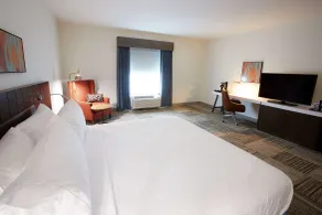 Hilton Garden Inn Elizabethtown, KY - Chambre