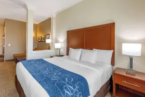 Comfort Suites Near Denver Downtown - Chambre