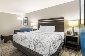 Best Western Plus Knoxville Cedar Bluff - Chambre