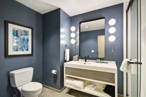 Hotel Indigo Kansas City - The Crossroads by IHG - Salle de bain