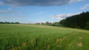 Ferienwohnung Maria Waldblick 95 qm, Familienfreundlich, 2 Schlafzimmer - Vista dalla camera