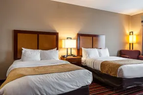 Comfort Suites Sulphur-Lake Charles - Chambre