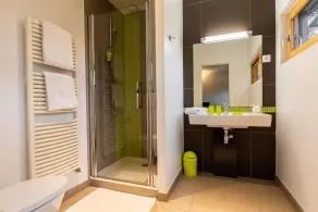 Détente et gourmandise à 10 km de Lyon ! - Salle de bain