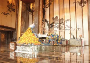 the Star Hotel - Reception