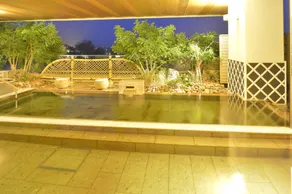 Ryokan Ayu no Sato - Spa